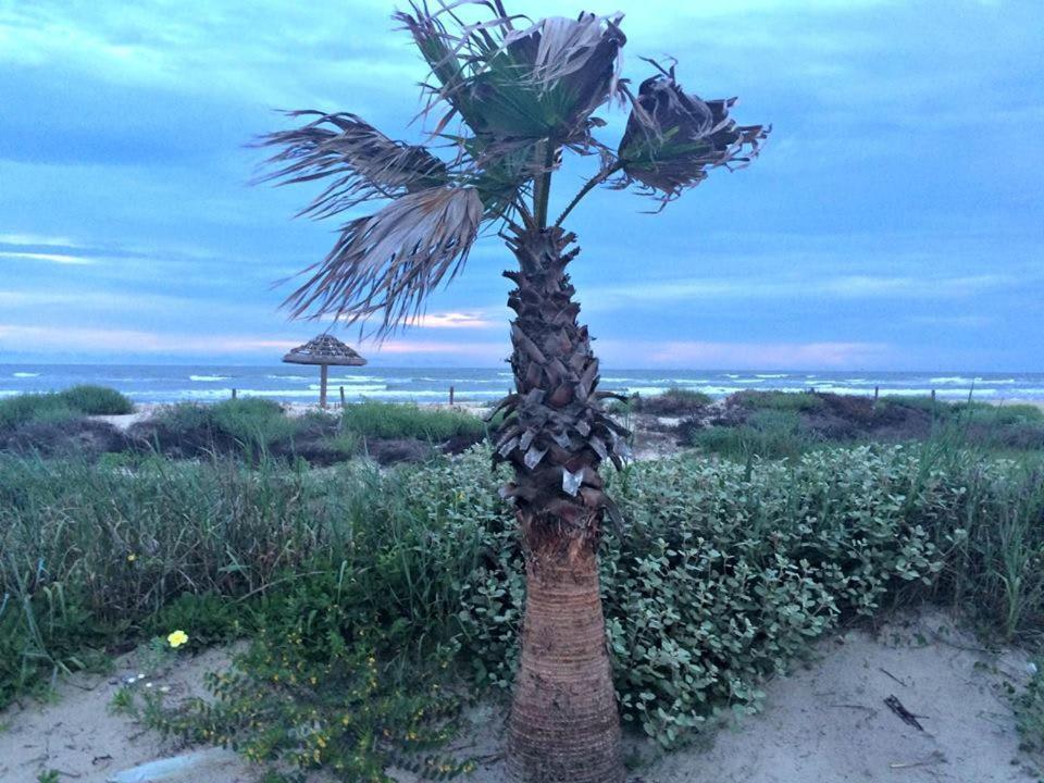 Unobstructed Oceanfront Sea Turtle Unit 2 Beach Pad! 서프사이드 비치 외부 사진